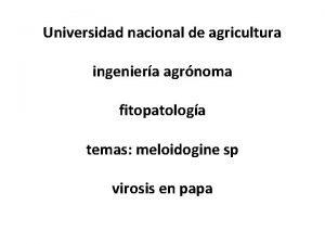 Universidad nacional de agricultura ingeniera agrnoma fitopatologa temas
