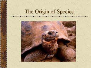 The Origin of Species Species Biological Species Ring