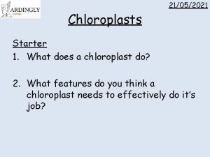 21052021 Chloroplasts Starter 1 What does a chloroplast