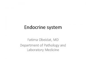 Endocrine system Fatima Obeidat MD Department of Pathology