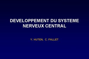 DEVELOPPEMENT DU SYSTEME NERVEUX CENTRAL Y HUTEN C