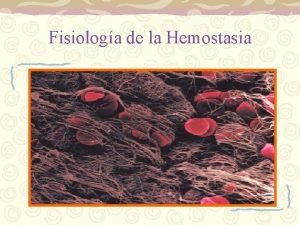 Fisiologa de la Hemostasia Dra Nydia Carol Bailn