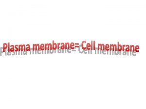 Plasma membrane Cell membrane SYSTEMS ORGANS TISSUES CELL