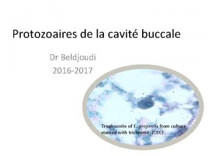 Protozoaires de la cavit buccale Dr Beldjoudi 2016