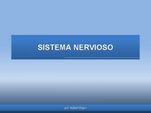 SISTEMA NERVIOSO por Isabel Etayo El sistema nervioso