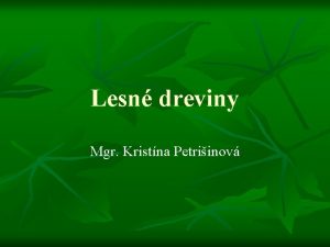 Lesn dreviny Mgr Kristna Petriinov Dreviny s rastliny
