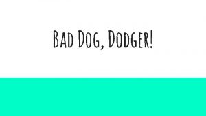 Bad dog dodger