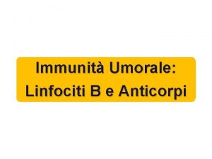 Immunit Umorale Linfociti B e Anticorpi Immunit Umorale