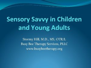 Sensory Savvy in Children and Young Adults Stormy