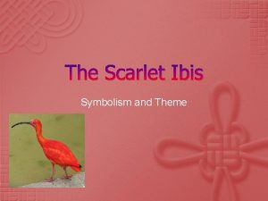 Theme in scarlet ibis