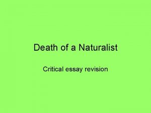 Death of a naturalist essay