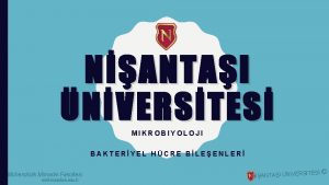 NANTAI NVERSTES MIKROBIYOLOJI BAKTERYEL HCRE BLEENLER Mhendislik Mimarlk