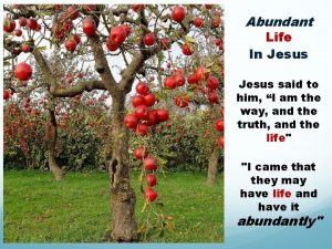 Abundant Life In Jesus said to him I