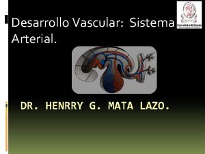 Desarrollo Vascular Sistema Arterial DR HENRRY G MATA