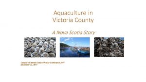 Aquaculture in Victoria County A Nova Scotia Story