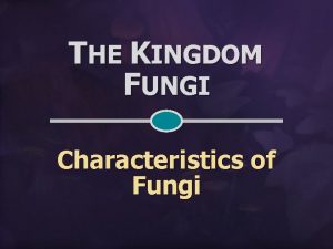 THE KINGDOM FUNGI Characteristics of Fungi FUNGAL HARACTERISTICS
