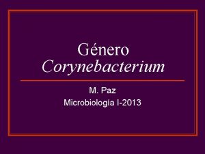 Gnero Corynebacterium M Paz Microbiologa I2013 Gnero Corynebacterium