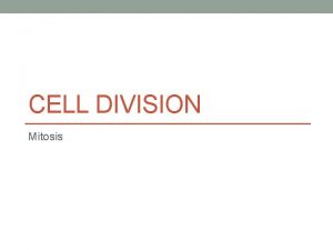 CELL DIVISION Mitosis Why do cells divide Growth