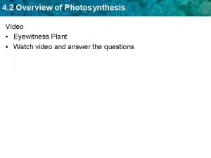 Photosynthesis