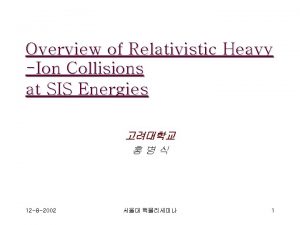 Overview of Relativistic Heavy Ion Collisions at SIS
