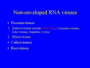 Nonenveloped RNA viruses Picornaviruses 1 Enteroviruses include Polio