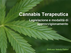 Cannabis Terapeutica Legislazione e modalit di approvvigionamento Dott