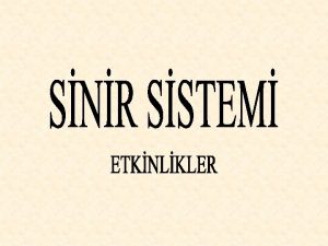 ETKNLK1 MERKEZ SNR SSTEMN OLUTURAN ORGANLARI ANIYALIM ORGAN