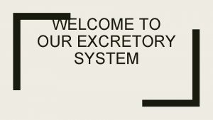 WELCOME TO OUR EXCRETORY SYSTEM The Excretory System