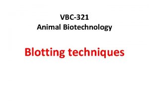 VBC321 Animal Biotechnology Blotting techniques What is blotting