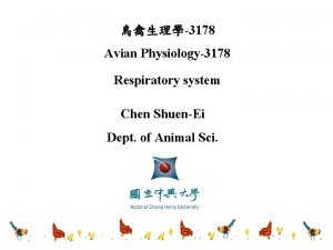 3178 Avian Physiology3178 Respiratory system Chen ShuenEi Dept