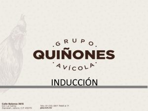 INDUCCIN Felicidades Grupo Avcola Quiones te ha escogido