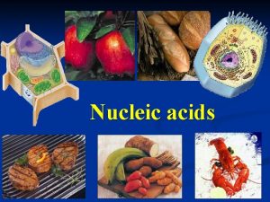 Nucleic acids II Nucleic Acids 1 Elements C