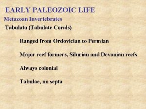 EARLY PALEOZOIC LIFE Metazoan Invertebrates Tabulata Tabulate Corals