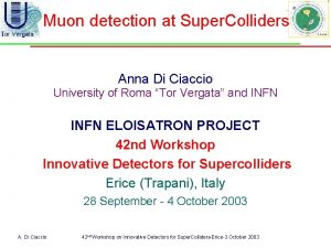 Muon detection at Super Colliders Anna Di Ciaccio