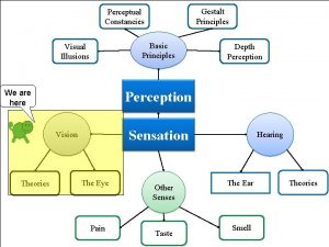 Gestalt Principles Perceptual Constancies Basic Principles Visual Illusions