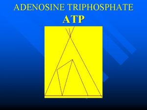 ADENOSINE TRIPHOSPHATE ATP ATP powers cellular work by