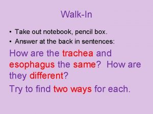 WalkIn Take out notebook pencil box Answer at