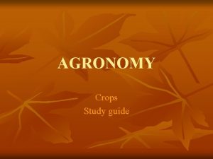AGRONOMY Crops Study guide CROPS Alfalfa Medicago sativa