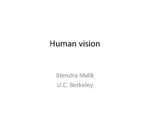 Human vision Jitendra Malik U C Berkeley Visual