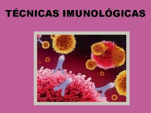 TCNICAS IMUNOLGICAS UM TESTE SOROLGICO PODE SER QUALITATIVO