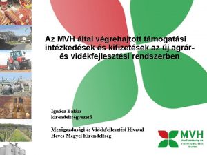 Az MVH ltal vgrehajtott tmogatsi intzkedsek s kifizetsek