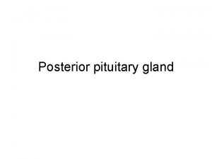 Posterior pituitary gland Embryonic origin Infundibulum Base of