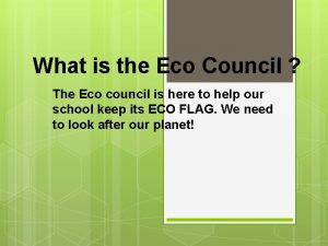 What is the Eco Council The Eco council