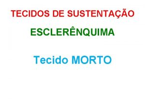 Esclerenquima tecido morto