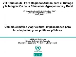 VIII Reunin del Foro Regional Andino para el