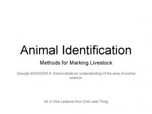 Animal Identification Methods for Marking Livestock Georgia MSAGED