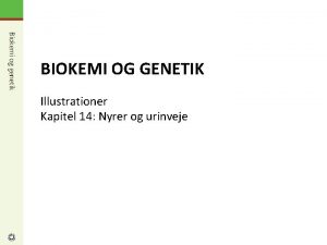 Biokemi og genetik Biokemi og genetik