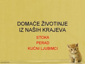 DOMAE IVOTINJE IZ NAIH KRAJEVA STOKA PERAD KUNI