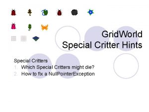 Grid World Special Critter Hints Special Critters 1