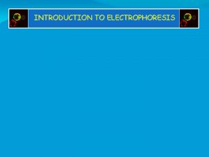 INTRODUCTION TO ELECTROPHORESIS Electrophoresis Electrophoresis is a method